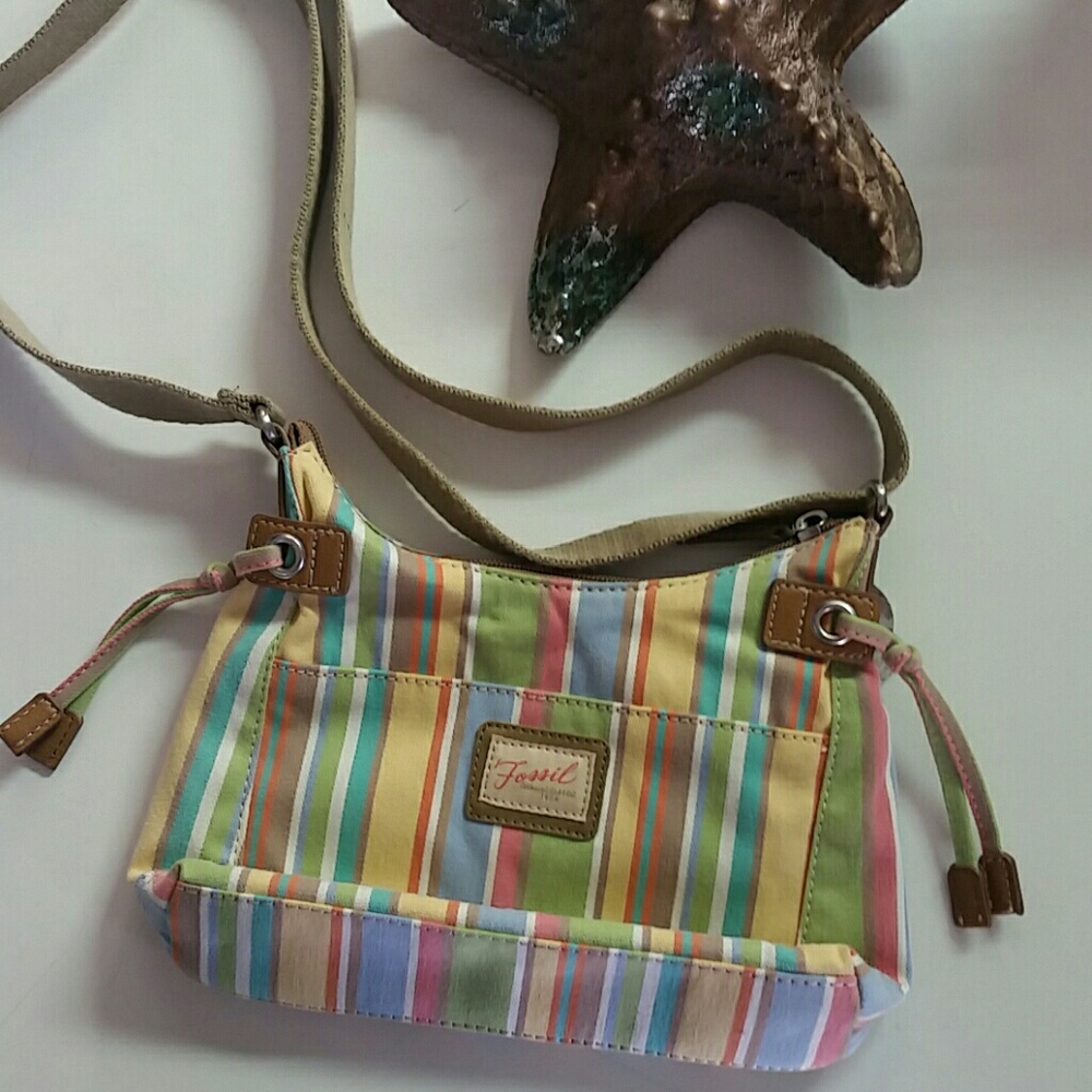 Fossil pastel striped canvas purse